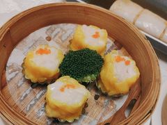 -广州万富希尔顿酒店-感趣自助餐厅·生蚝海鲜刺身