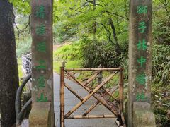 -黄山风景区