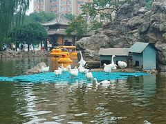 -团结湖公园