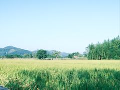 -良渚古城遗址公园