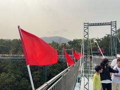 -呀诺达热带雨林