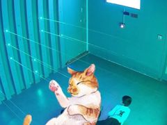 -仲盛世界商城