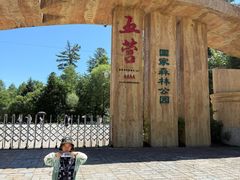 -五营红松林海景区