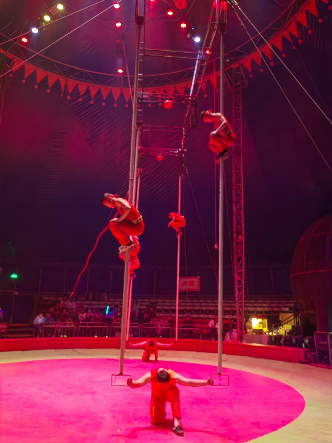 头顶的杂技世界78