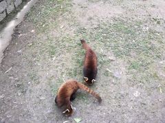 -宿豫区运河湾森林动物园