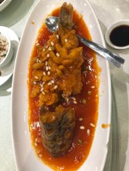 -梅龙镇酒家·宴会厅(南京西路总店)