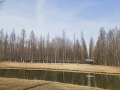 -黄海国家森林公园