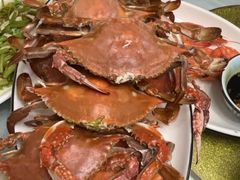 -金海湾海鲜排档(朱家尖店)
