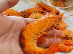 白灼大虾-花乐餐厅(涠洲岛店)