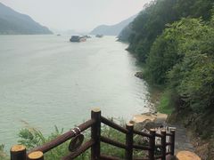 -羚羊峡古栈道森林公园