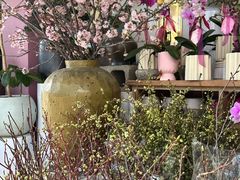 -溪岸路花鸟市场