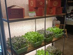 -番食园鲜食火锅(高新店)