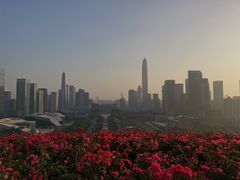 -莲花山公园