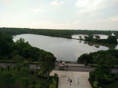 -大湾区中央湿地公园