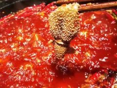 -蜀大侠火锅(龙岗店)