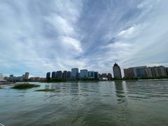 -金沙湖公园