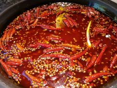 牛油红锅-蜀大侠火锅(少陵路店)