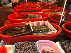 -芦潮港集贸市场