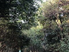 -咸宁万豪温泉谷度假区