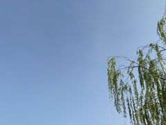 -南翠屏公园