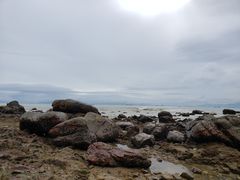 -七鲜渔港美食餐厅(巽寮湾海景店)