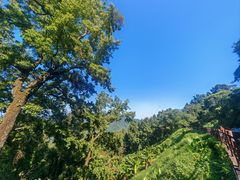 -广州市石门国家森林公园