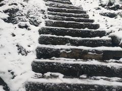 -缙云山景区