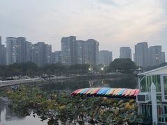 -新江湾城公园