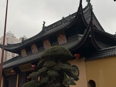 -霖公馆SPA·足道(普善路店)
