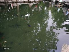 -五悦北平四季涮肉·烧烤(老商埠店)