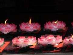 -亭林园-华藏寺