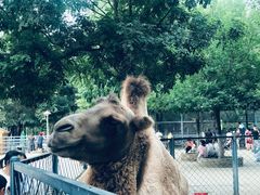 -长白岛森林公园