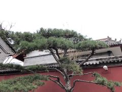 -西安市广仁寺