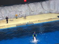 -临沂极地海洋王国