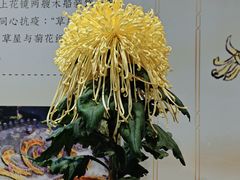 -汇龙潭