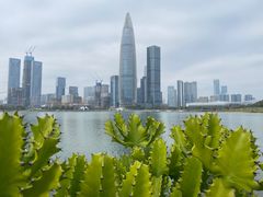 -梧桐山风景名胜区