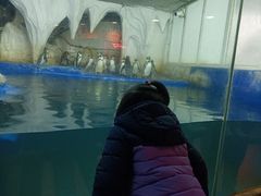 -太平洋海底世界