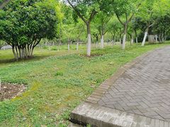 -堤角公园