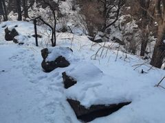 -阳台山自然风景区