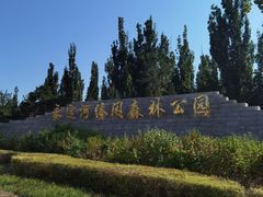 -永定河休闲森林公园