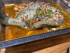 椒麻海鲁鱼-东来菜馆•手抓海鲜家常菜•海鲜锅贴(鸽子窝店)