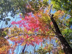-关门山森林公园