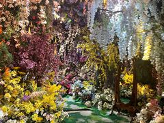 -正佳雨林生态植物园
