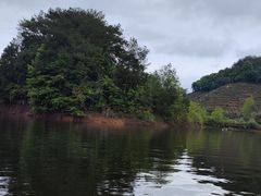 -千岛湖城中湖游船码头