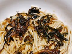 -虹桥机场国航贵宾室v8