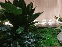 -兰湘子·湘菜小炒(崂山丽达店)