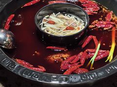 -渝大狮毛肚老火锅(巴中店)