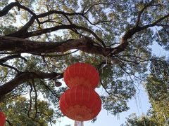 -无锡梅园公园
