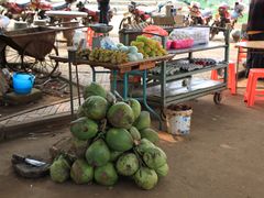 -东寨港红树林旅游区