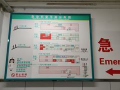 -首都医科大学附属北京同仁医院(西区)